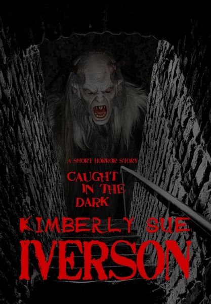 Caught in the Dark (eBook, ePUB)
