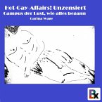 Hot-Gay-Affairs! Unzensiert (MP3-Download)