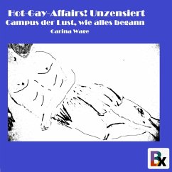 Hot-Gay-Affairs! Unzensiert (MP3-Download) - Wage, Carina