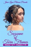 Suzonne of Twin Flames - Volume 1 of 7 - Chapters 1-10 (eBook, ePUB)