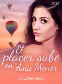 El placer sube en Asia Menor - una novela erótica (eBook, ePUB) El placer sube en Asia Menor - una novela erótica (eBook, ePUB)