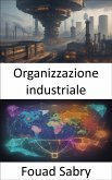 Organizzazione industriale (eBook, ePUB)