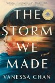 The Storm We Made (eBook, ePUB)