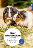 Meerschweinchen (eBook, ePUB)