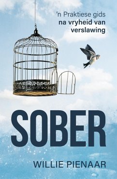 Sober (eBook, ePUB) - Pienaar, Willie