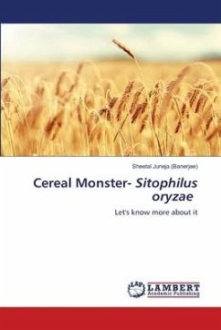 Cereal Monster- Sitophilus oryzae