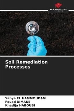 Soil Remediation Processes - El Hammoudani, Yahya;Dimane, Fouad;HABOUBI, Khadija