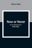 Now or Never; Or, The Adventures of Bobby Bright