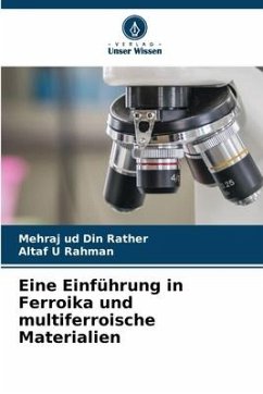 Eine Einführung in Ferroika und multiferroische Materialien - Rather, Mehraj ud Din;Rahman, Altaf U