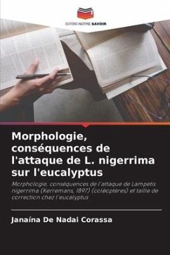 Morphologie, conséquences de l'attaque de L. nigerrima sur l'eucalyptus - Corassa, Janaína De Nadai