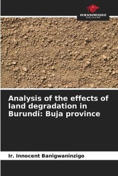 Analysis of the effects of land degradation in Burundi: Buja province - Banigwaninzigo, Ir. Innocent