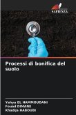 Processi di bonifica del suolo