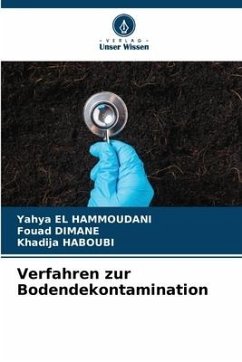 Verfahren zur Bodendekontamination - El Hammoudani, Yahya;Dimane, Fouad;HABOUBI, Khadija