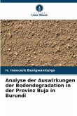 Analyse der Auswirkungen der Bodendegradation in der Provinz Buja in Burundi