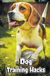 Dog Training Hacks - Bild 1