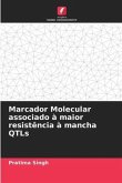 Marcador Molecular associado à maior resistência à mancha QTLs