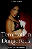 Temptation Dangerous (eBook, ePUB)