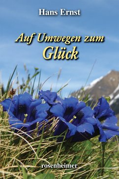 Auf Umwegen zum Glück (eBook, ePUB) - Ernst, Hans