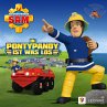 Folgen 99-103: In Pontypandy ist was... - Bild 1