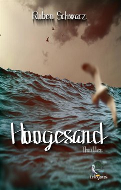 Hoogesand (eBook, ePUB) - Schwarz, Ruben