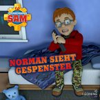 Folge 135: Norman sieht Gespenster (MP3-Download)