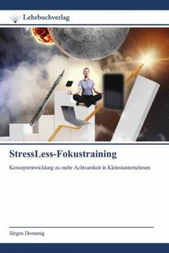 StressLess-Fokustraining - Domenig, Jürgen