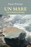 Un mare di formazione (eBook, ePUB)