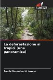 La deforestazione ai tropici (una panoramica)