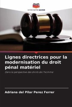 Lignes directrices pour la modernisation du droit pénal matériel - Pérez Ferrer, Adriana del Pilar