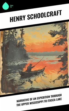 Cover Narrative of an Expedition through the Upper Mississippi to Itasca Lake (eBook, ePUB)