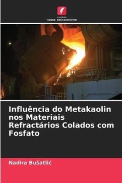 Influência do Metakaolin nos Materiais Refractários Colados com Fosfato - Busatlic, Nadira