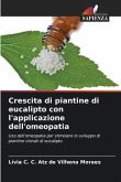 Crescita di piantine di eucalipto con l'applicazione dell'omeopatia