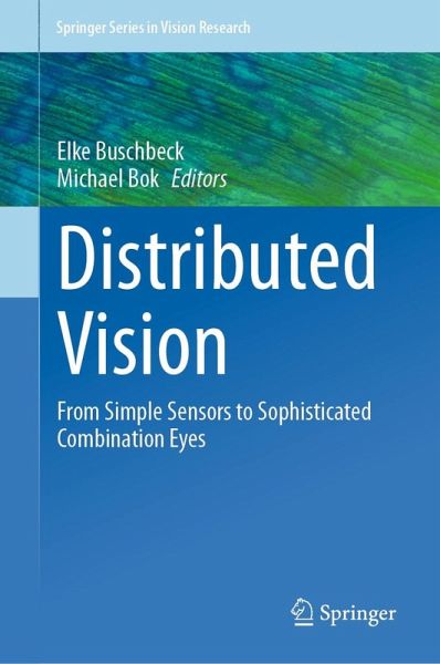 Distributed Vision (eBook, PDF) Distributed Vision (eBook, PDF)