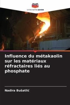 Influence du métakaolin sur les matériaux réfractaires liés au phosphate - Busatlic, Nadira