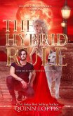 The Hybrid Rule (eBook, ePUB)