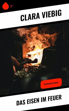 Das Eisen im Feuer (eBook, ePUB) - Viebig, Clara