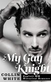 My Gay Knight (eBook, ePUB)