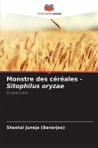 Monstre des céréales - Sitophilus oryzae