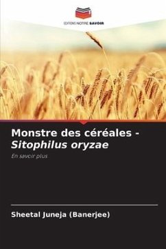 Monstre des céréales - Sitophilus oryzae - Juneja (Banerjee), Sheetal