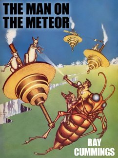 The Man on the Meteor (eBook, ePUB)