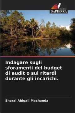 Indagare sugli sforamenti del budget di audit o sui ritardi durante gli incarichi. - Mashanda, Sharai Abigail