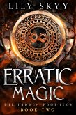 Erratic Magic (eBook, ePUB)