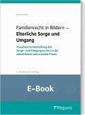 Familienrecht in Bildern - Elterliche Sorge und Umgang (E-Book) (eBook, PDF)