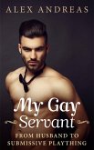 My Gay Servant (eBook, ePUB)