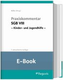 Praxiskommentar SGB VIII - Kinder- und Jugendhilfe (E-Book) (eBook, PDF)