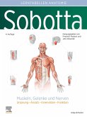 Sobotta Lerntabellen Muskeln, Gelenke und Nerven (eBook, ePUB)