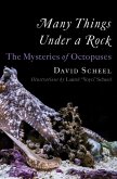 Many Things Under a Rock: The Mysteries of Octopuses (eBook, ePUB)