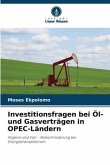 Investitionsfragen bei Öl- und Gasverträgen in OPEC-Ländern