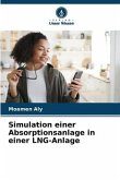 Simulation einer Absorptionsanlage in einer LNG-Anlage