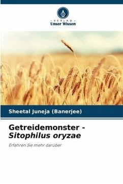 Getreidemonster - Sitophilus oryzae - Juneja (Banerjee), Sheetal